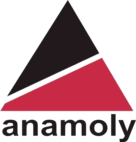 http://anamoly.co.in/icons/logo_anamoly.png